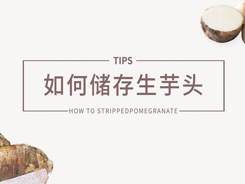 澳门沙金在线平台app