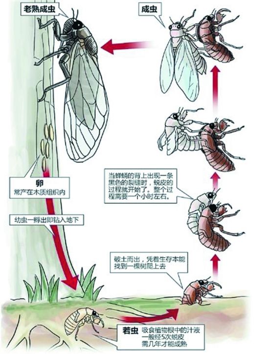 中铝集团第二批“不忘初心、牢记使命”主题教育突出特色求实效_